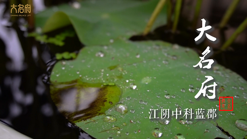 【大名府案例】江陰中科藍郡安裝簡約風全觀光電梯E19型