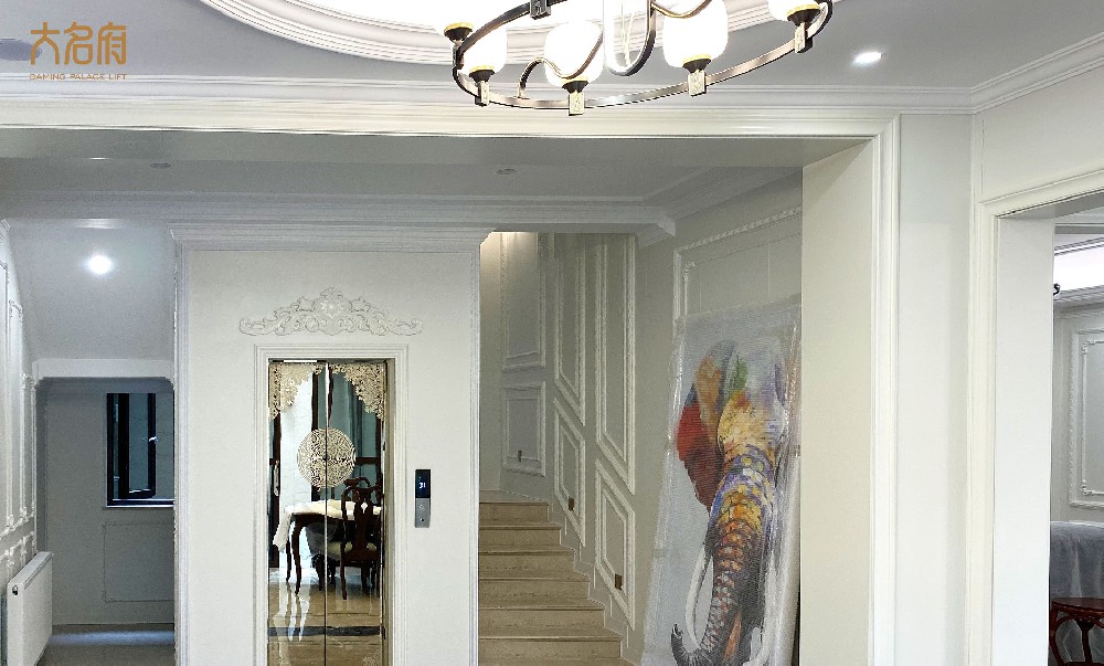 業(yè)界：家用電梯需求高漲，行業(yè)或迎重大發(fā)展契機(jī)