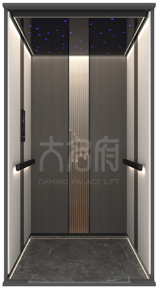 現(xiàn)代風(fēng)風(fēng)格別墅電梯C07