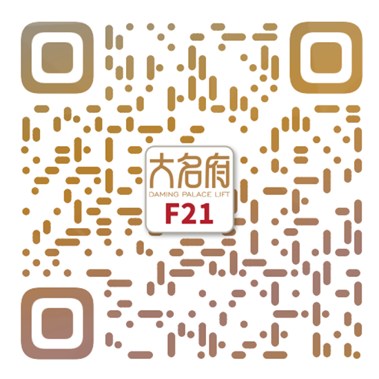 簡約風(fēng)別墅電梯F21