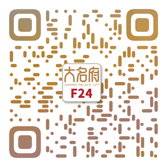 簡約風(fēng)別墅電梯F24