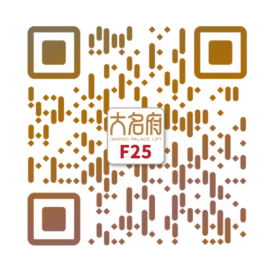 簡約風(fēng)別墅電梯F25