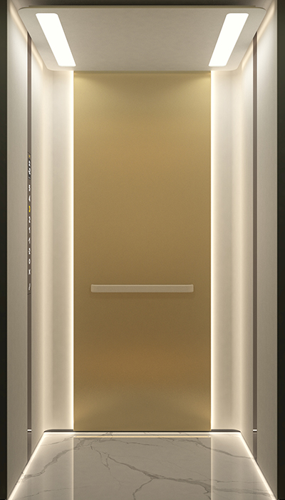 簡約風(fēng)別墅電梯F25