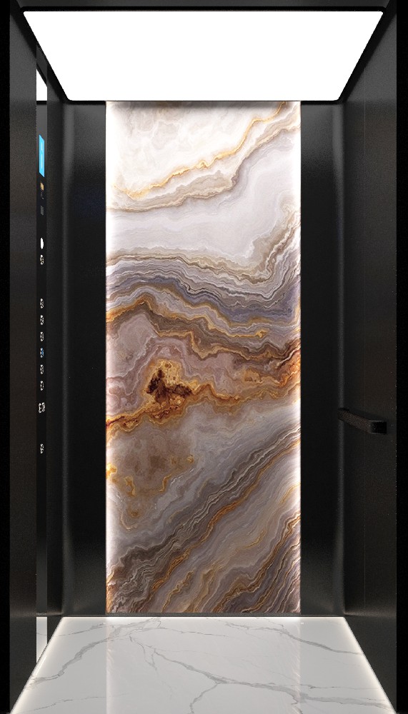 簡約風(fēng)別墅電梯F31